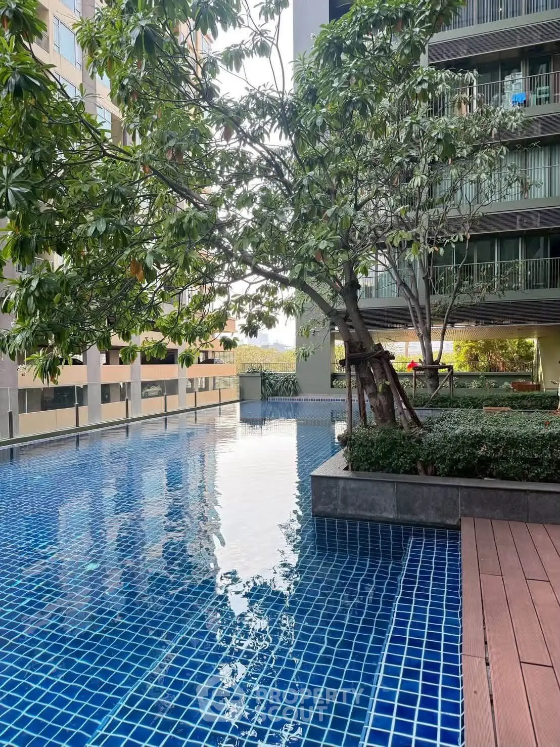 Luxurious condominium pool area with lush greenery and modern design