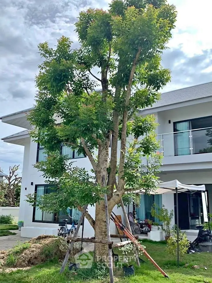 Modern two-story house with large windows and lush garden featuring a prominent tree.