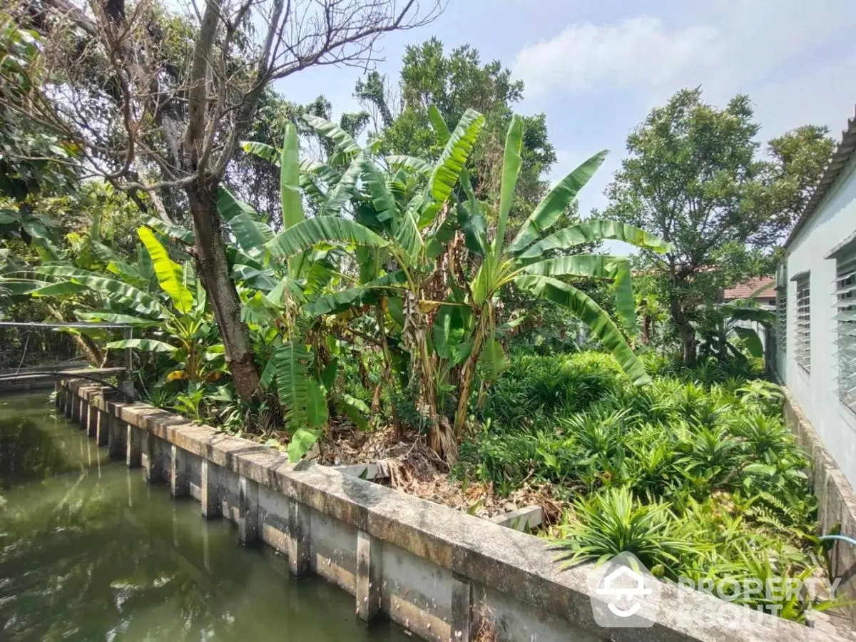 Lush tropical garden oasis with mature banana trees and serene water feature, perfect for a tranquil outdoor living space.