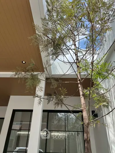 Modern architectural design with skylight and tree in courtyard