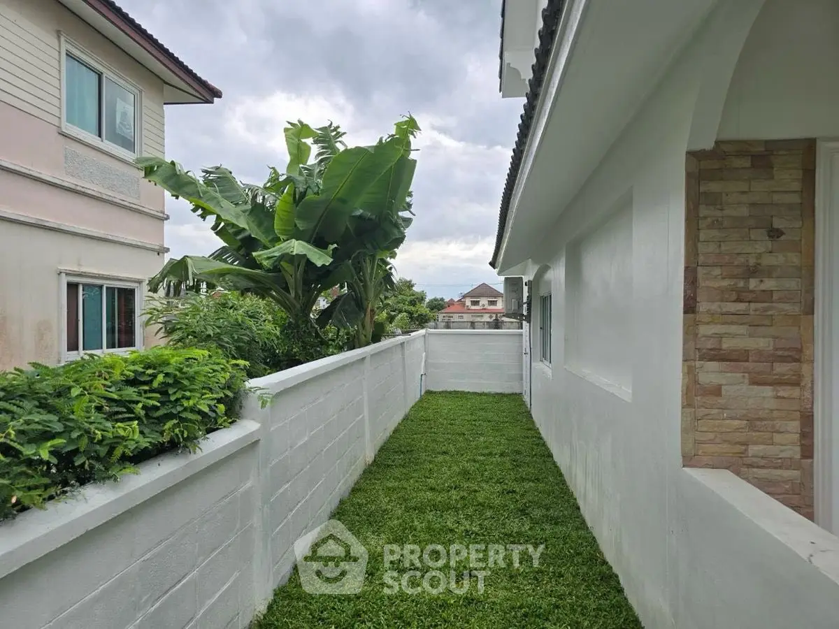 Charming side garden with lush greenery and modern exterior walls in suburban home.