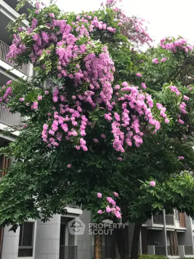 Charming residential building with lush purple flowering tree enhancing curb appeal.