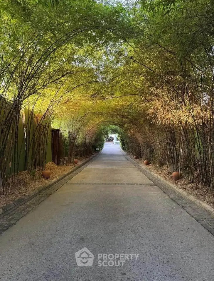 Enchanting bamboo tunnel pathway leading to a serene garden entrance, perfect for tranquil living.