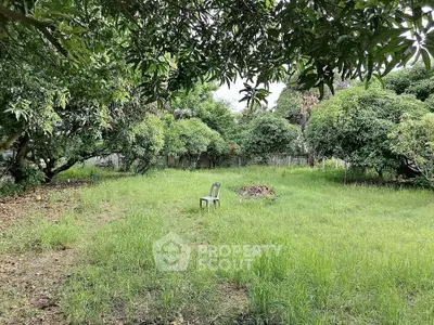 image_rental-31683984