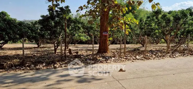 Scenic view of a fenced garden area with lush trees and clear sky, ideal for real estate development.