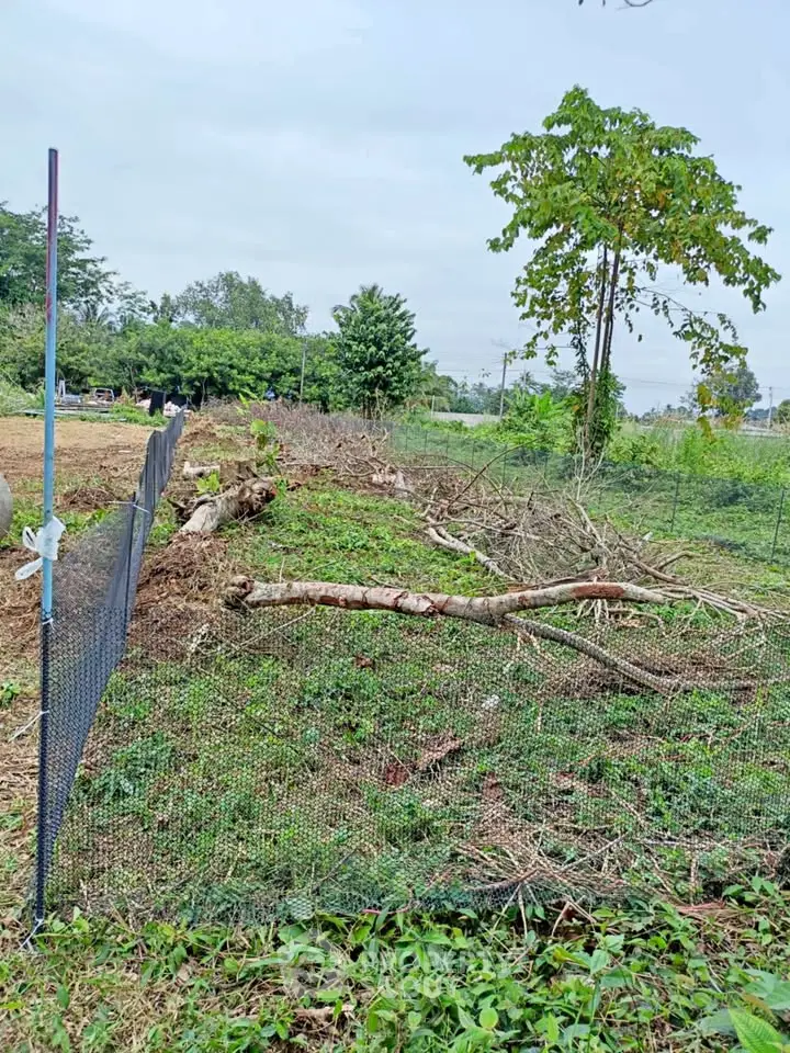 Spacious land plot with fencing and greenery, ideal for development or agriculture.