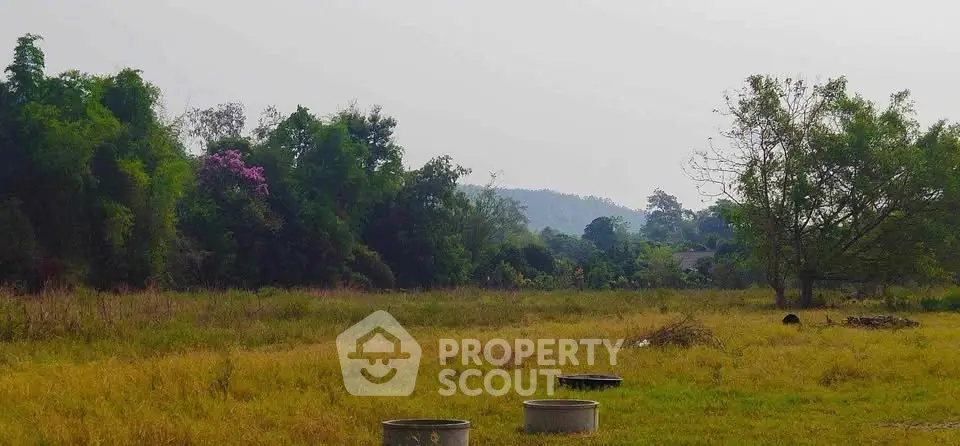 Expansive land plot with lush greenery and scenic views, ideal for development or investment opportunities.