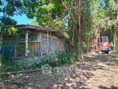 Charming rustic wooden house surrounded by lush greenery, perfect for nature lovers seeking tranquility.