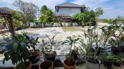 Spacious garden area with potted plants and a view of a modern house, perfect for outdoor activities.