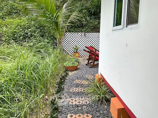 image_rental-28114103