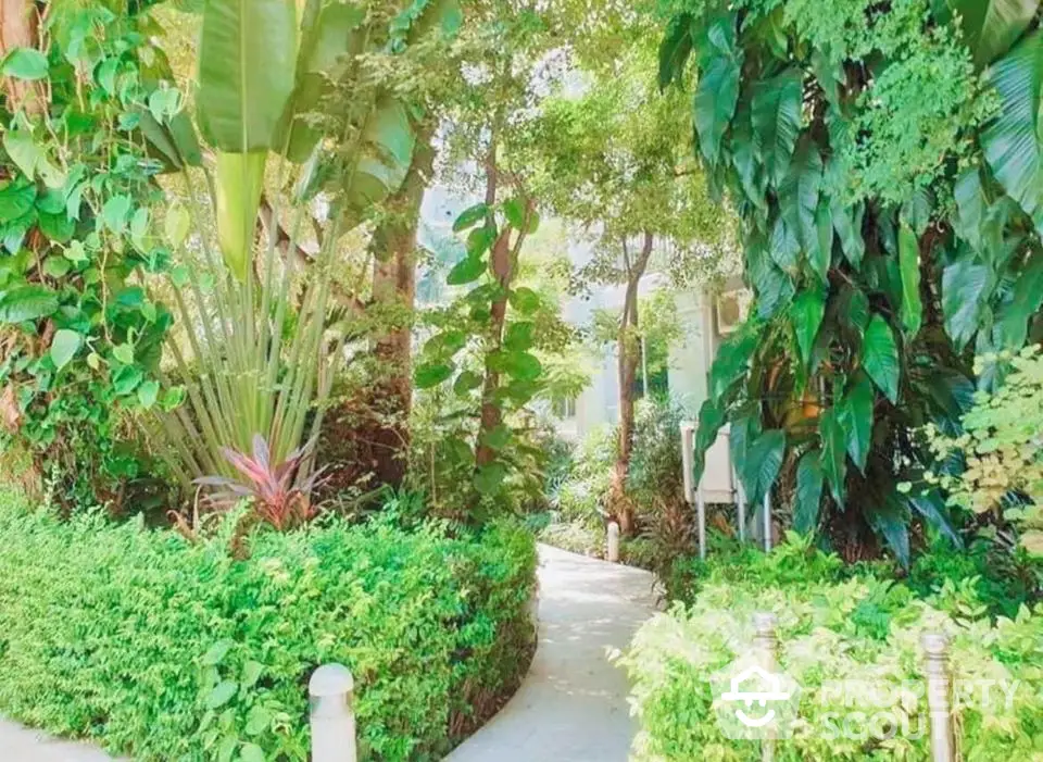 Lush garden pathway with vibrant greenery and tropical plants in a serene residential setting.