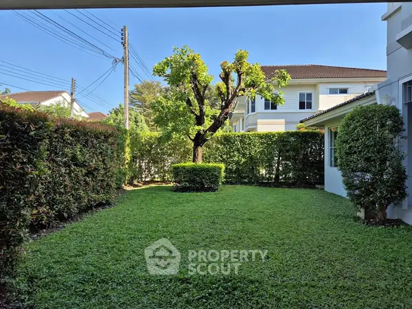 image_rental-27704173