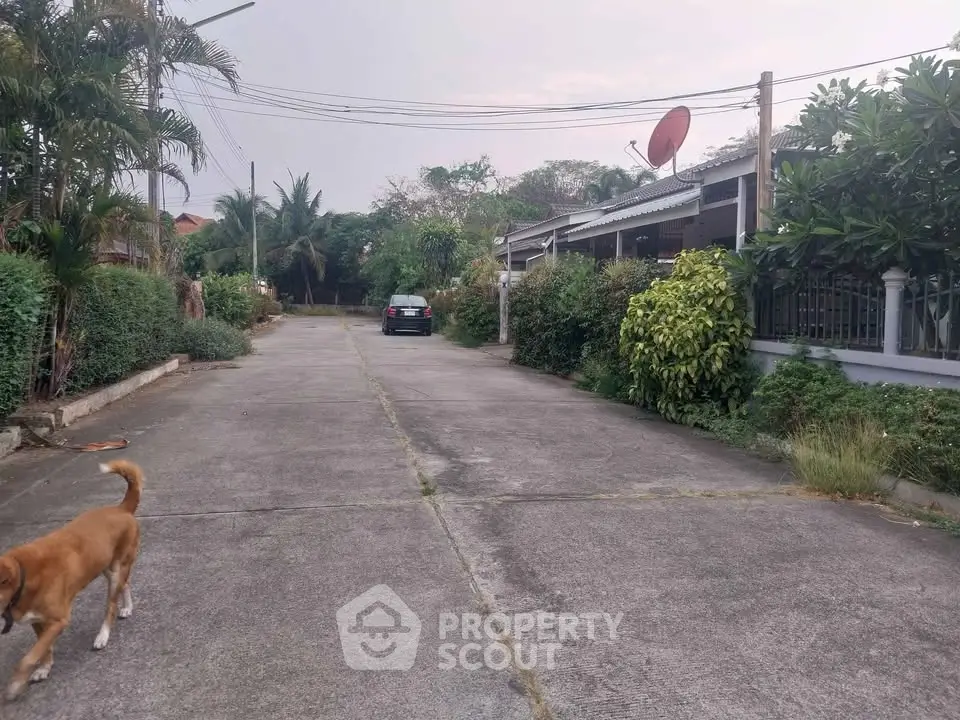 Charming suburban street view with lush greenery and cozy homes
