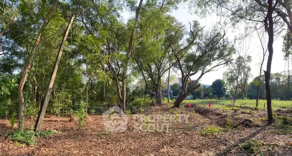 image_rental-28097990