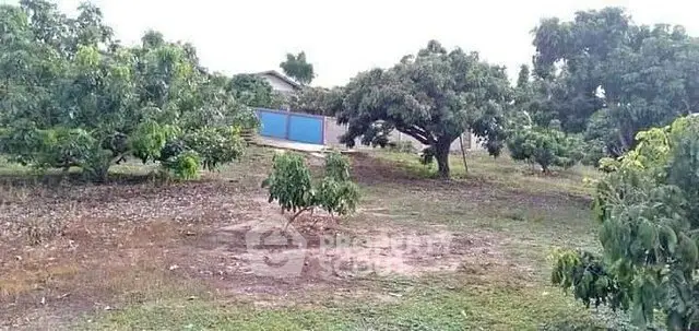 Spacious rural property with lush greenery and mature trees, ideal for agriculture or serene living.