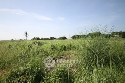 Expansive green field with clear blue sky, perfect for development opportunities.