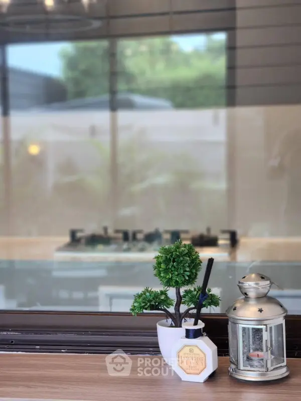 image_rental-29560684