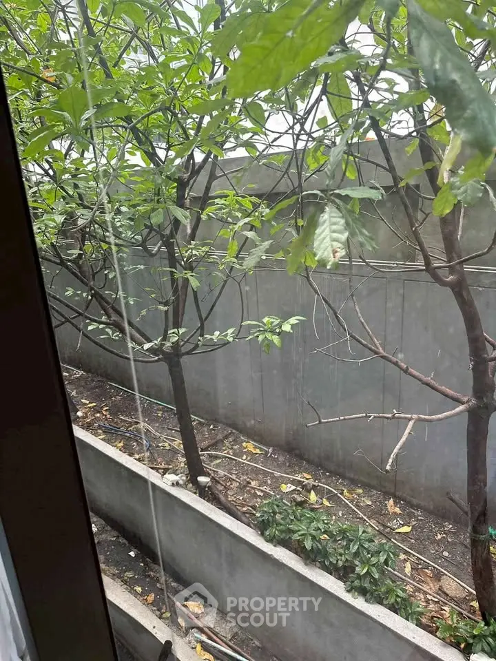 View of a small garden area with trees outside a window, offering a touch of greenery and privacy.
