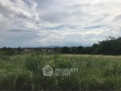 Expansive land with lush greenery and scenic mountain views, perfect for development or investment opportunities.
