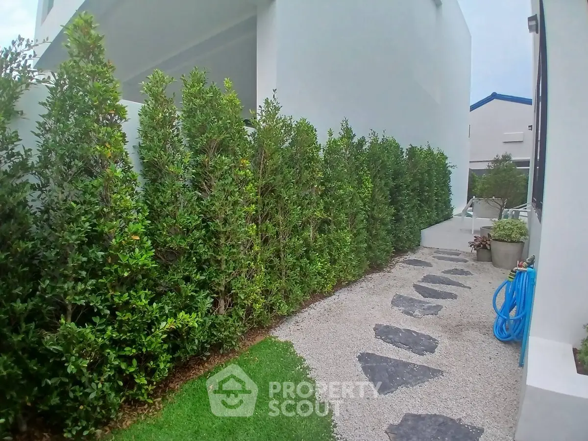 Modern garden pathway with lush greenery and sleek architecture