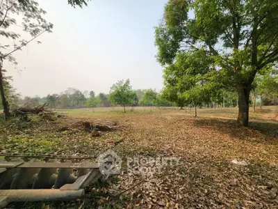 Expansive land plot with lush greenery and mature trees, perfect for development or investment opportunities.