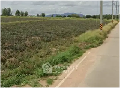 image_rental-27769468