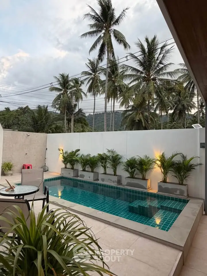 Luxurious private pool area with tropical palm trees and modern design, perfect for relaxation and entertainment.