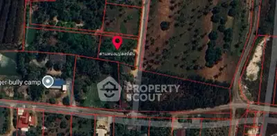 image_rental-29893347