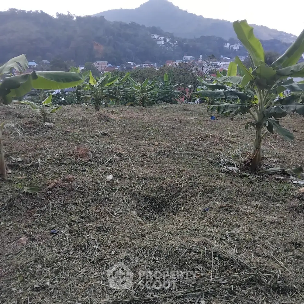Scenic land plot with banana trees and mountain view, ideal for development