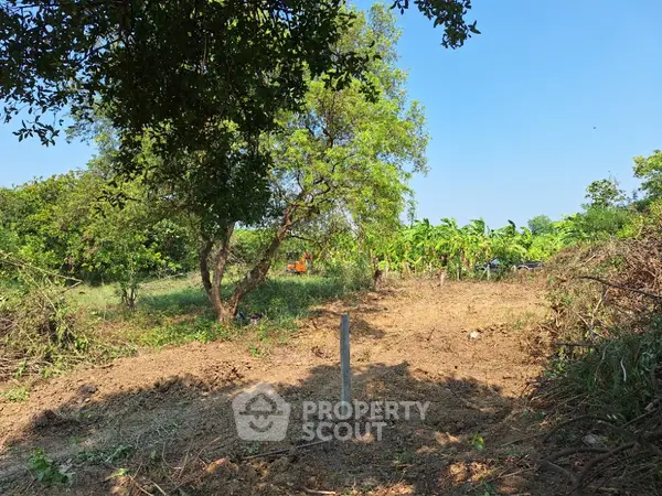 image_rental-22542776