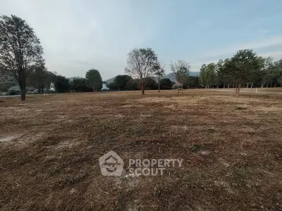 Expansive vacant land with trees, perfect for development or investment opportunities.