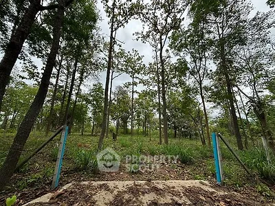 image_rental-19382209
