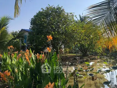 Lush garden with vibrant flowers and serene pond in a tropical setting