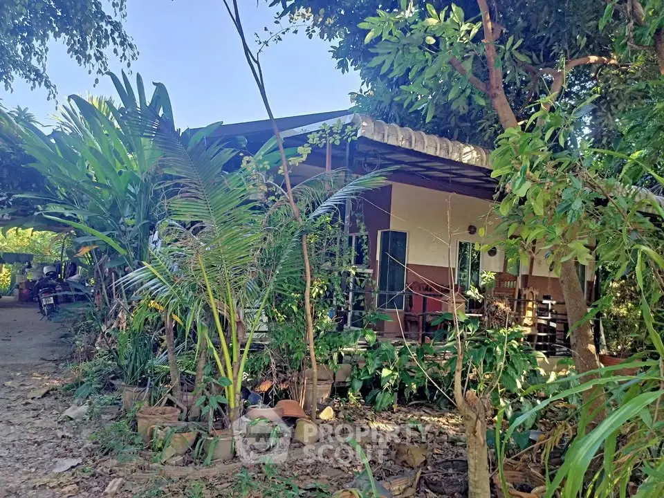 Charming rustic house surrounded by lush greenery, offering a serene and private outdoor living experience.