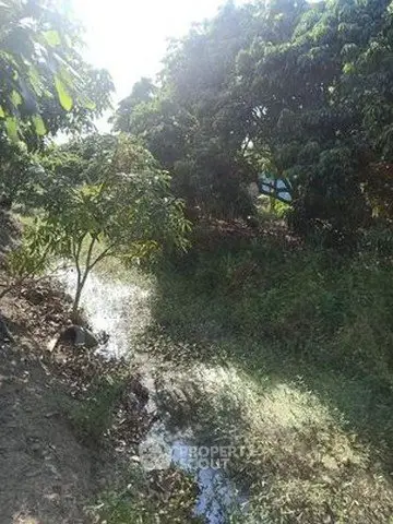 image_rental-29276101