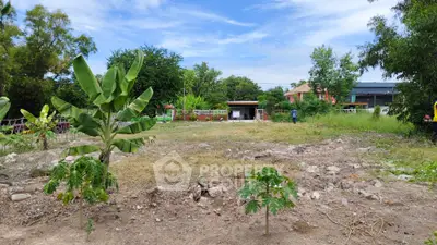 Spacious residential land plot with lush greenery and potential for development