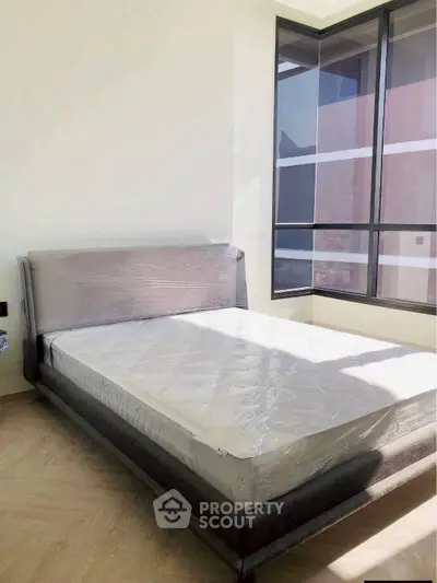 image_rental-31371611