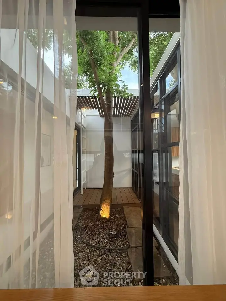 Modern home with stunning indoor tree courtyard and floor-to-ceiling windows.