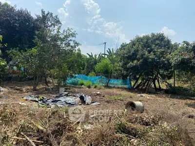 Spacious undeveloped land with lush greenery and potential for landscaping.