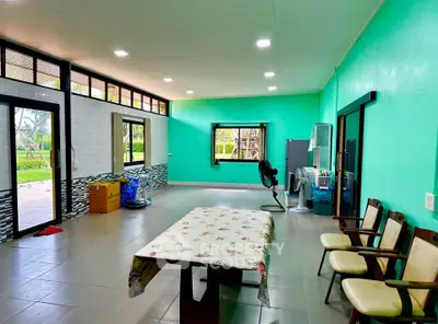 Spacious living room with vibrant teal walls and large windows offering garden views.