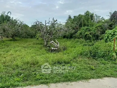 Lush green land with trees, perfect for development or agriculture.