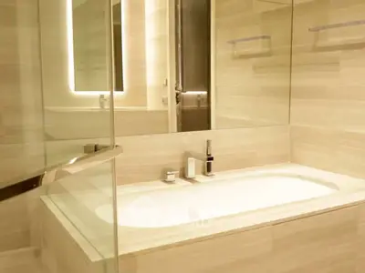 Luxurious modern bathroom with elegant bathtub and ambient lighting