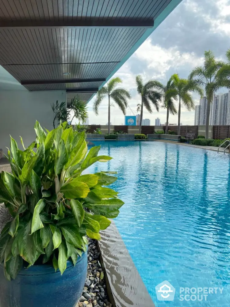 Luxurious poolside view with palm trees and cityscape backdrop