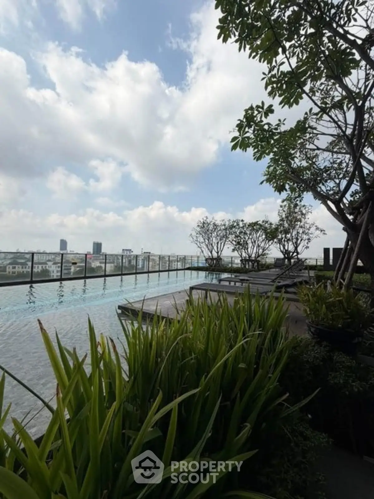 Luxurious rooftop pool with stunning city views and lush greenery
