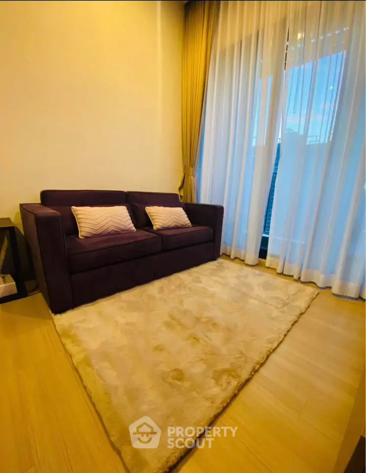 Cozy living room with plush purple sofa and elegant sheer curtains