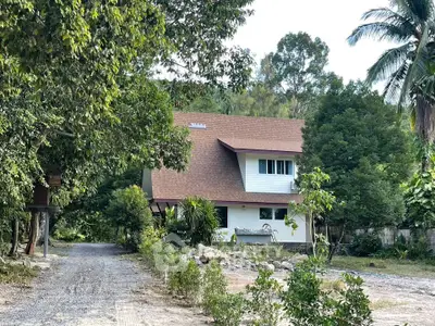 Charming countryside house surrounded by lush greenery and a gravel driveway, perfect for nature lovers.
