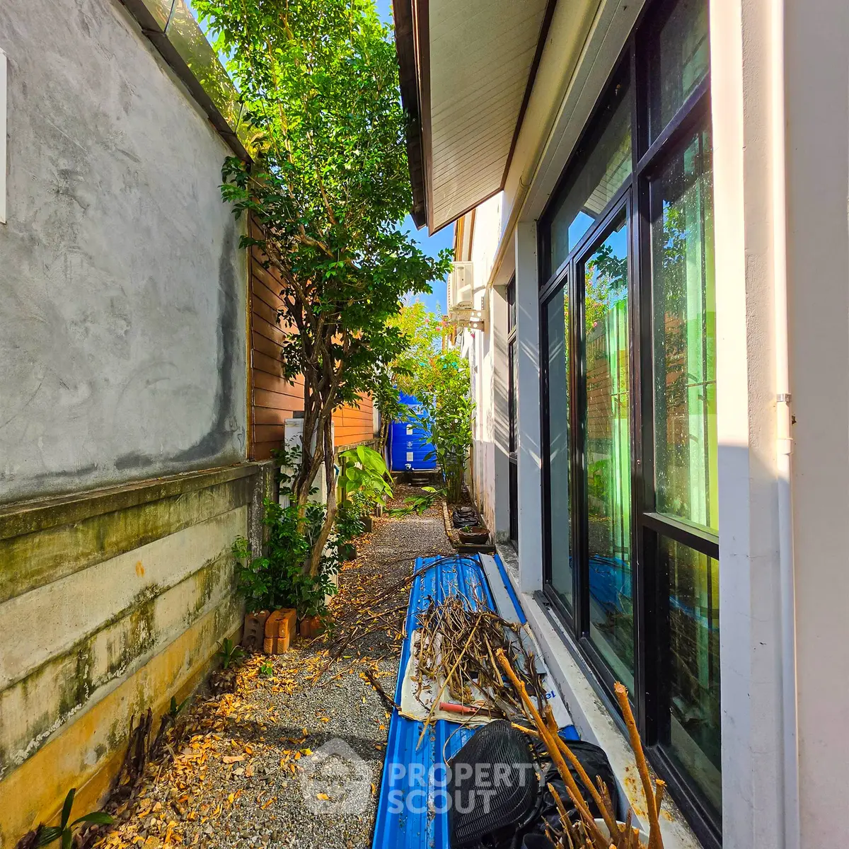 Narrow outdoor pathway with greenery and modern building exterior