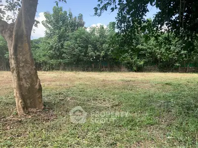 Spacious green land plot surrounded by lush trees, perfect for development or agriculture.