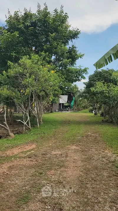 Charming rural property with lush greenery and rustic pathway leading to a quaint house.
