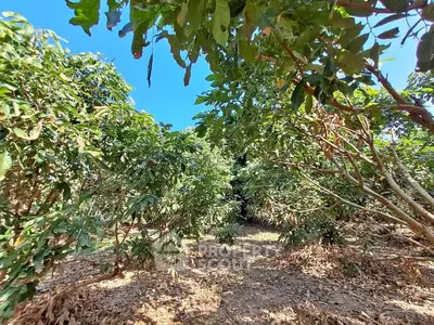 image_rental-27754669